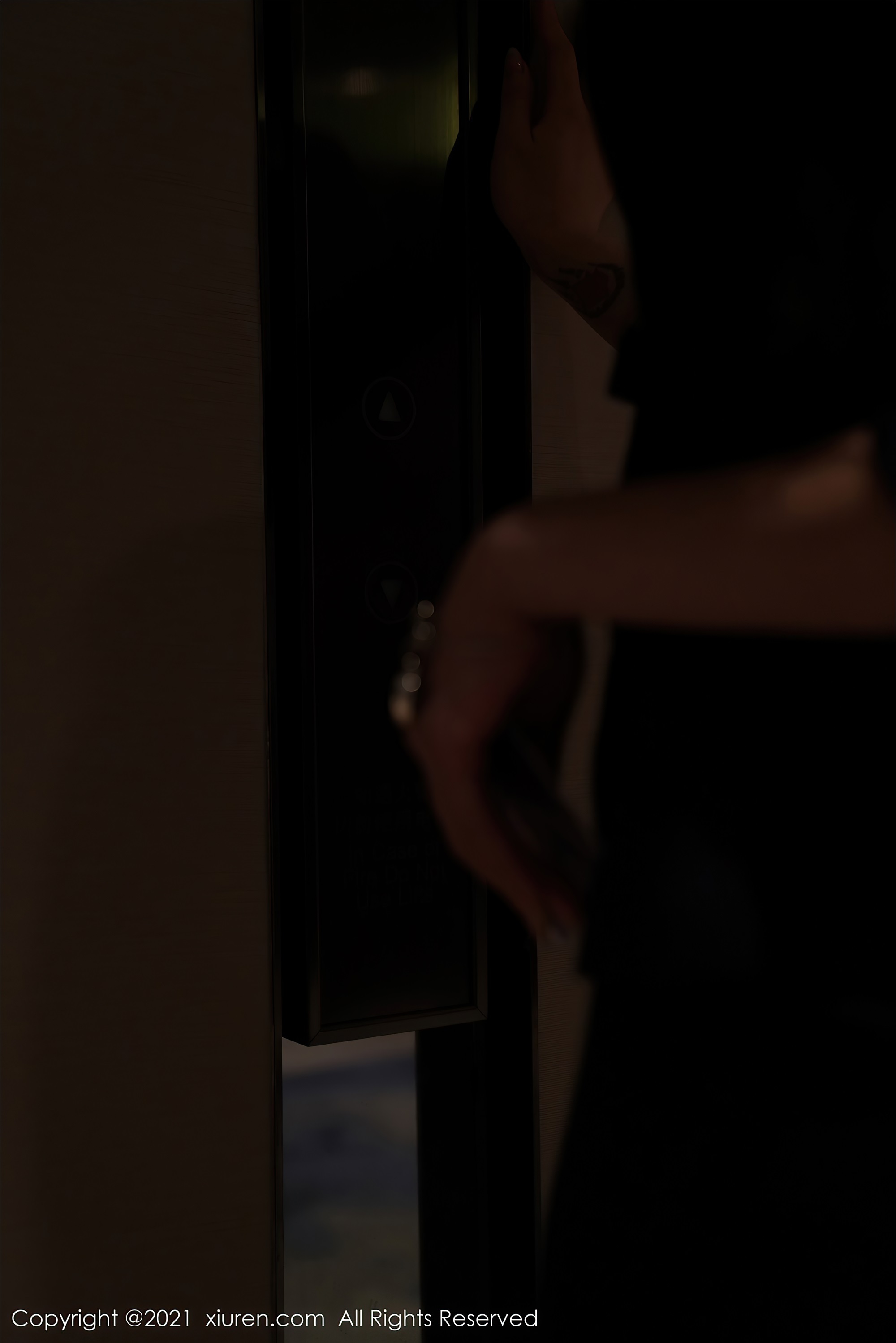 XiuRen秀人网  2021.01.26 No.3043 玉兔miki